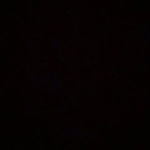 Meet your Posher, Ofelia